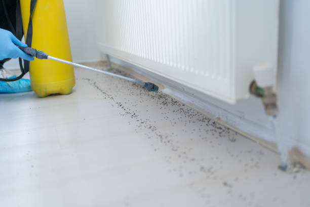 Trusted Lewisburg, KY Pest Control Experts