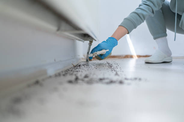 Best Cockroach Control Services  in Lewisburg, KY